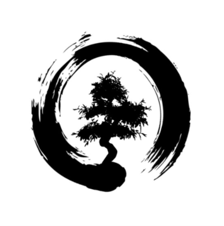 Cercle Zen Cycle thérapeutique Reiki